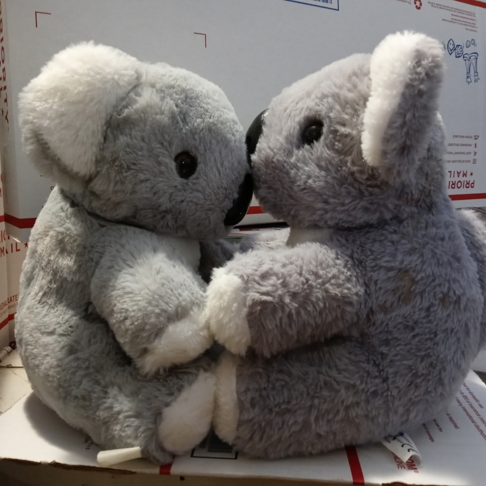 🏫🐼PAIR OF CE TEDDY BEARS 🐻 🐻🏡🏯